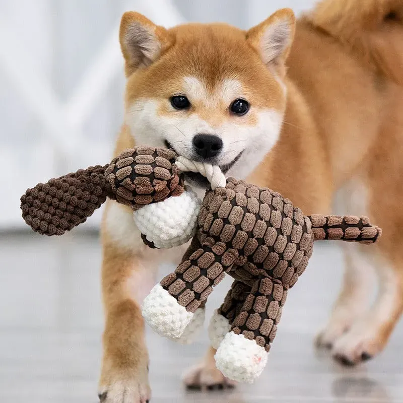 Geweldig cadeau - Piepend pluchen hondenspeelgoed