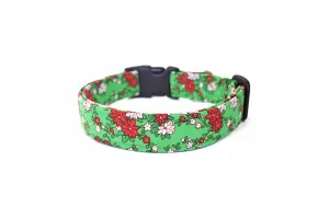 Green & Red Poinsettia Dog Collar