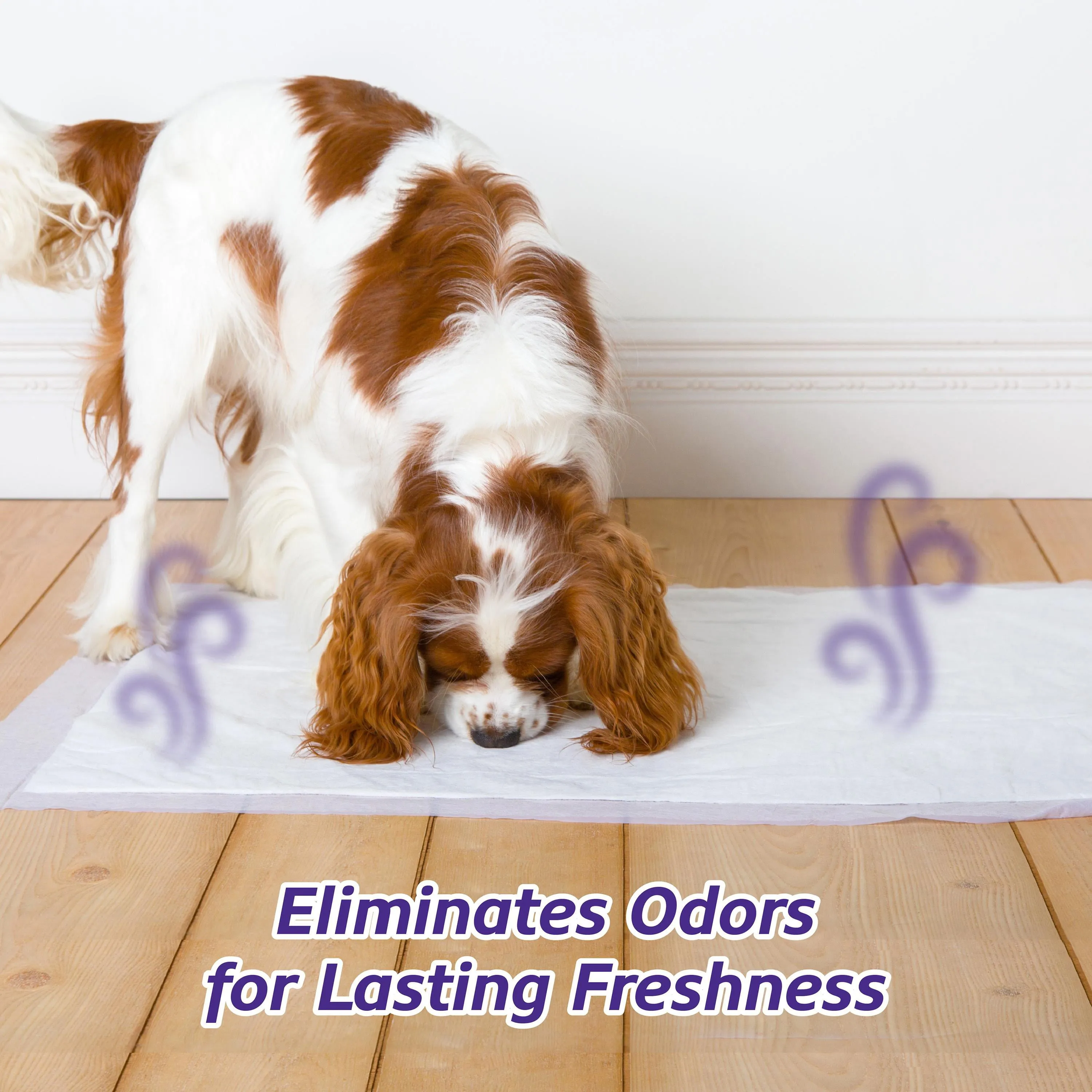 Hartz Home Protection Lavender Scent Odor-Eliminating Dog Pads, Regular Size, 21 in x 21 in, 50ct