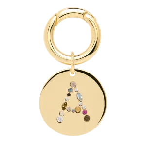 Letter A Pet Charm