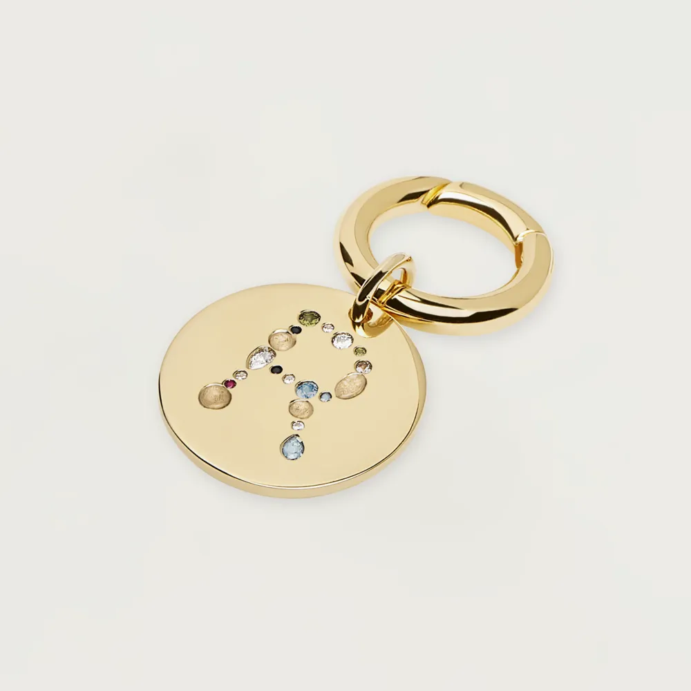 Letter R Pet Charm