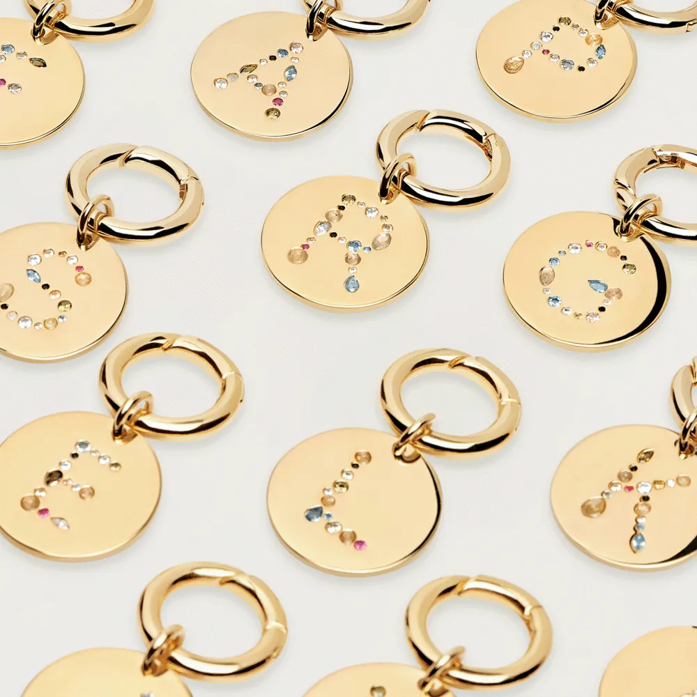 Letter R Pet Charm