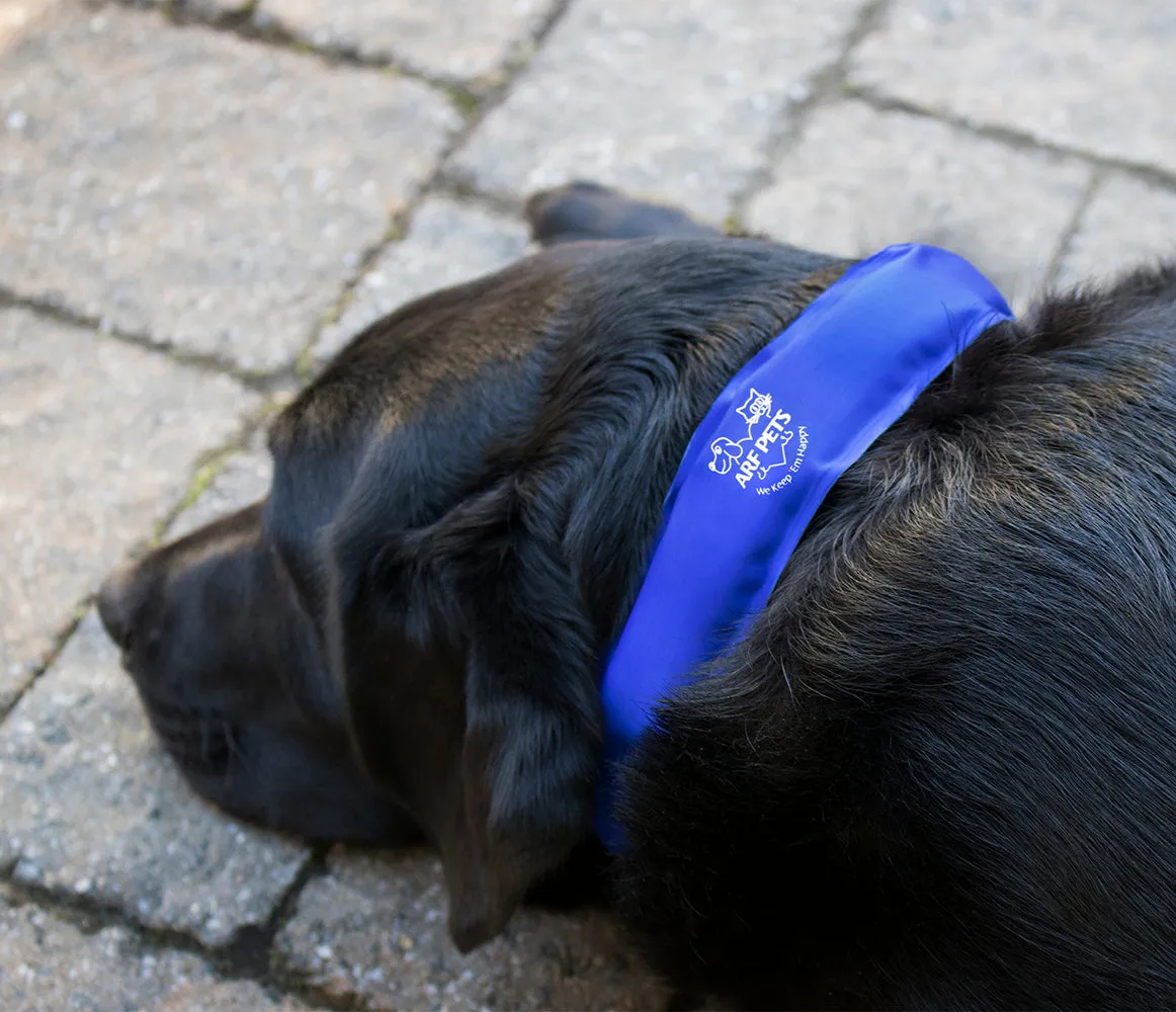 Medium Cooling Dog Collar
