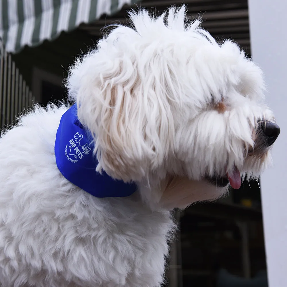 Medium Cooling Dog Collar