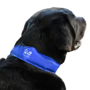 Medium Cooling Dog Collar