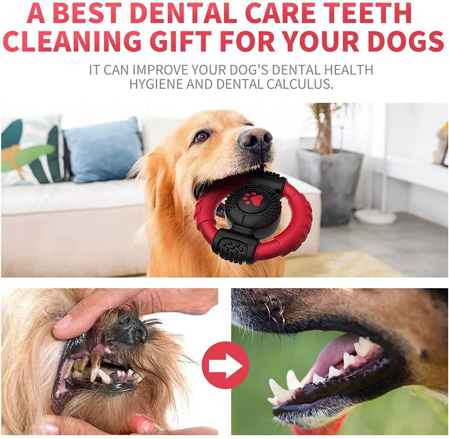 Natural Rubber Dog Teeth Cleaning Toys
