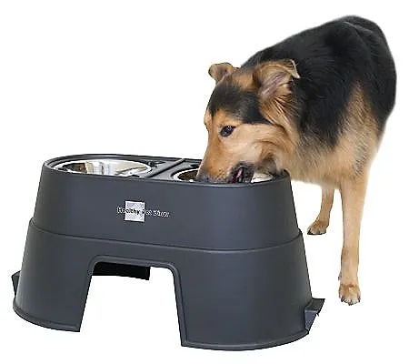 Our Pets Healthy Pet Diner 12" Black