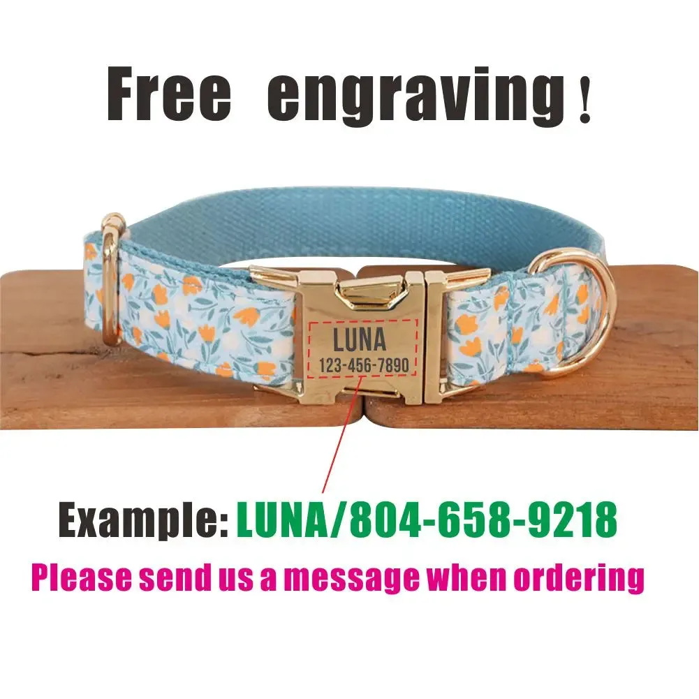 Personalized Dog Collar with Free Engraving | Matching Pet Leash Customized Metal Buckle, Blue Lilac Pet Collar
