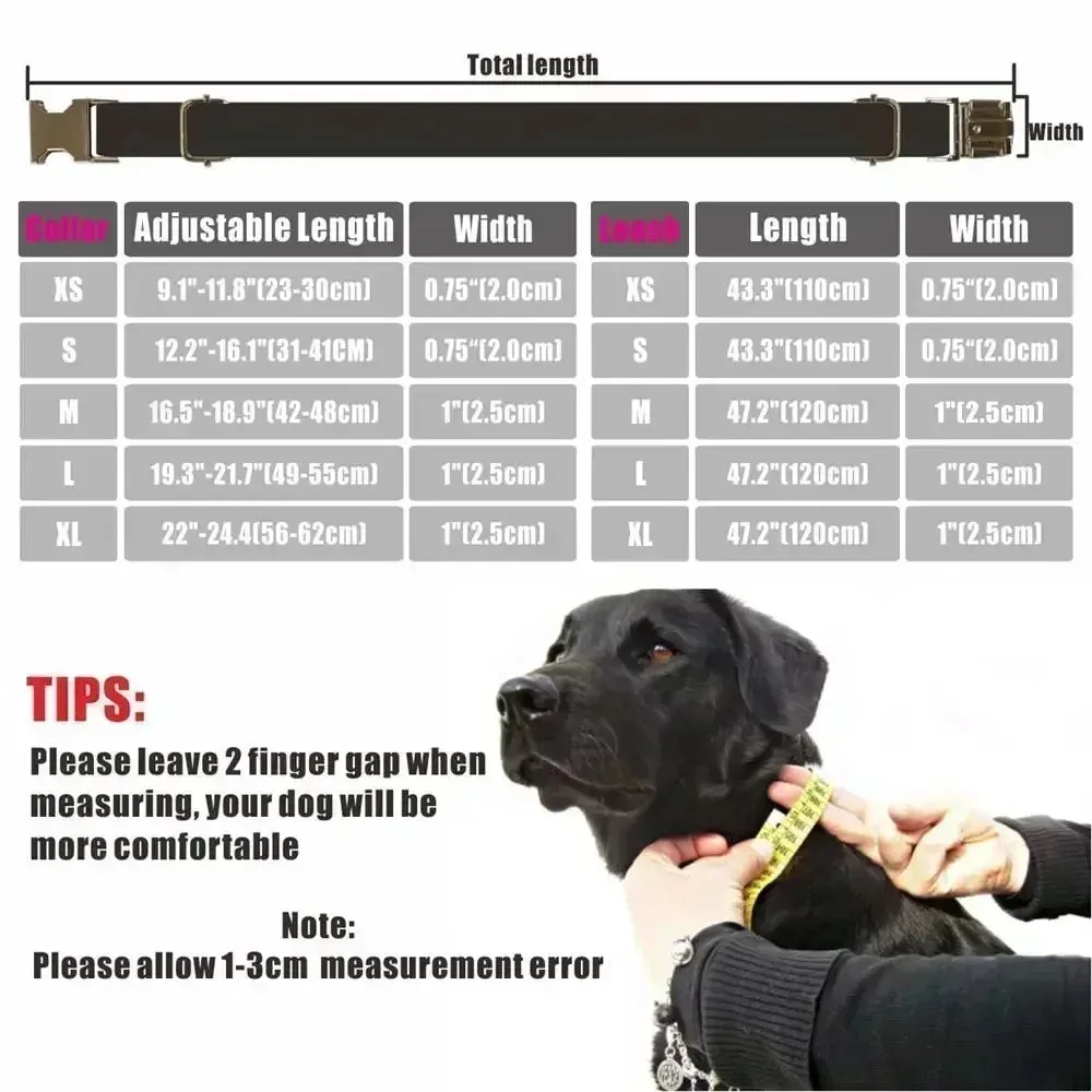 Personalized Dog Collar with Free Engraving | Matching Pet Leash Customized Metal Buckle, Blue Lilac Pet Collar