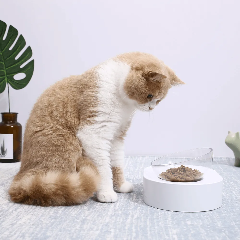 PETKIT |  Fresh Nano - Single