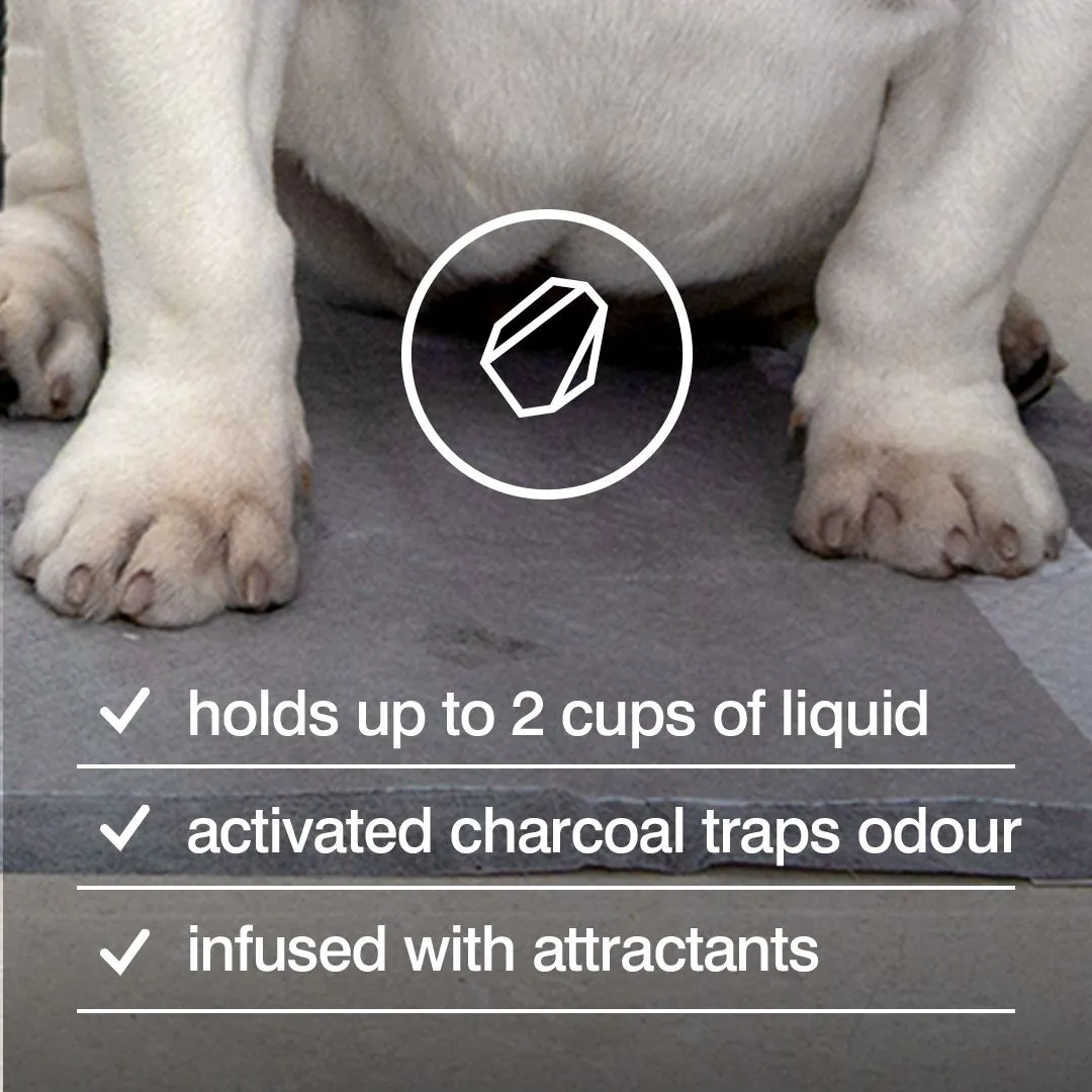 Rufus & Coco Posh Pee Pads 7 Pack^^^