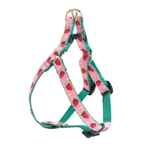 Teacup Harness | Strawberry Fields