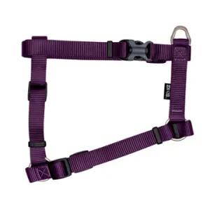 Zeus Nylon Dog Harness - Royal Purple - XLarge - 2.5 cm x 61-100 cm (1in x 24in-39in)